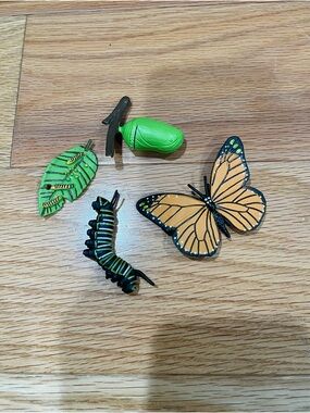 Monarch Butterfly Life Cycle Small Figurines - Orange & Green